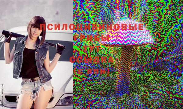 герыч Остров