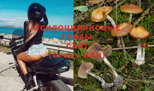 гашишное масло Арсеньев