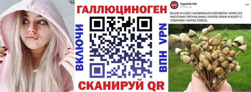 Псилоцибиновые грибы MAGIC MUSHROOMS  магазин продажи наркотиков  Артёмовск 